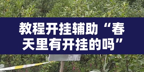 教程开挂辅助“春天里有开挂的吗”其实确实有挂