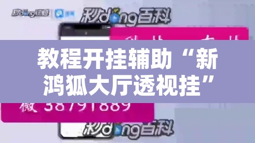 教程开挂辅助“新鸿狐大厅透视挂”开挂辅助脚本+详细开挂安装教程