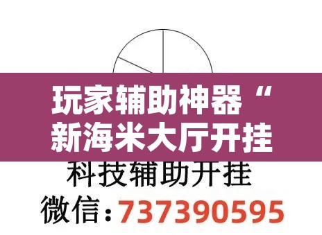 玩家辅助神器“新海米大厅开挂效果”开挂辅助脚本+详细开挂安装教程