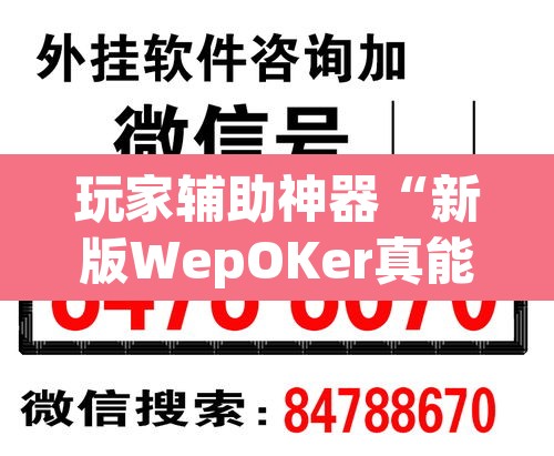 玩家辅助神器“新版WepOKer真能买到挂吗	”其实确实有挂