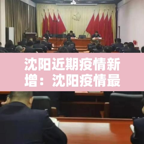 沈阳近期疫情新增：沈阳疫情最近