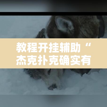 教程开挂辅助“杰克扑克确实有挂吗	”开挂辅助脚本+详细开挂安装教程