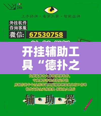 开挂辅助工具“德扑之星辅助器”开挂辅助脚本+详细开挂安装教程