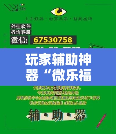玩家辅助神器“微乐福建麻将有没有挂”开挂辅助脚本+详细开挂安装教程