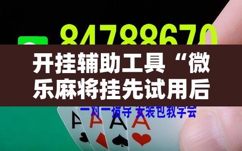 开挂辅助工具“微乐麻将挂先试用后付款	”其实确实有挂