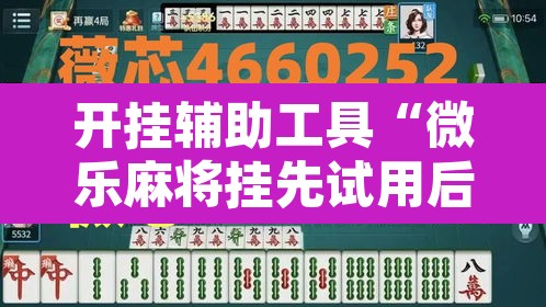 开挂辅助工具“微乐麻将挂先试用后付款	”其实确实有挂