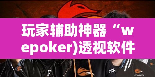 玩家辅助神器“wepoker)透视软件方法”其实确实有挂