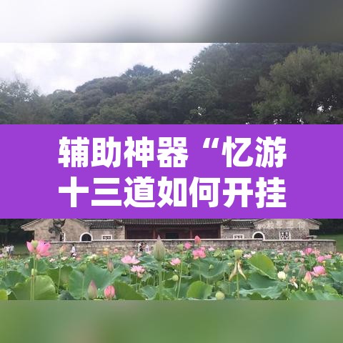 辅助神器“忆游十三道如何开挂”(透视挂)辅助透视教程