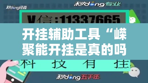 开挂辅助工具“嵘聚能开挂是真的吗	”开挂辅助脚本+详细开挂安装教程