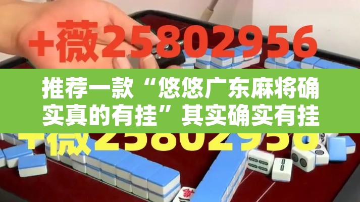 推荐一款“悠悠广东麻将确实真的有挂”其实确实有挂