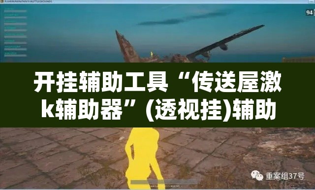 开挂辅助工具“传送屋激k辅助器”(透视挂)辅助透视教程
