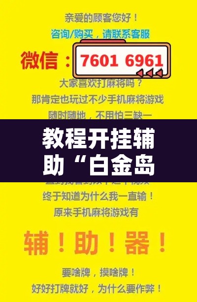 教程开挂辅助“白金岛跑胡子开挂辅助教程	”其实确实有挂