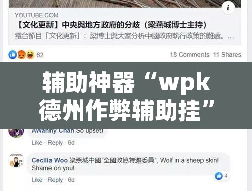 辅助神器“wpk德州作弊辅助挂”开挂辅助脚本+详细开挂安装教程