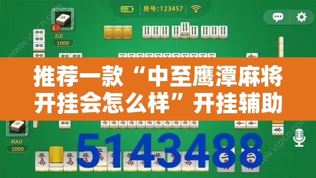 推荐一款“中至鹰潭麻将开挂会怎么样”开挂辅助脚本+详细开挂安装教程
