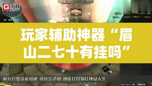 玩家辅助神器“眉山二七十有挂吗	”(透视)其实确实有挂