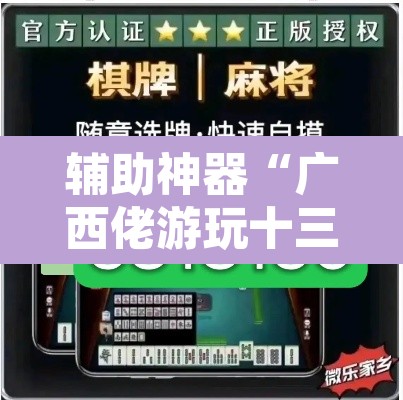 辅助神器“广西佬游玩十三张辅助器	”附辅助神器开挂脚本详细步骤