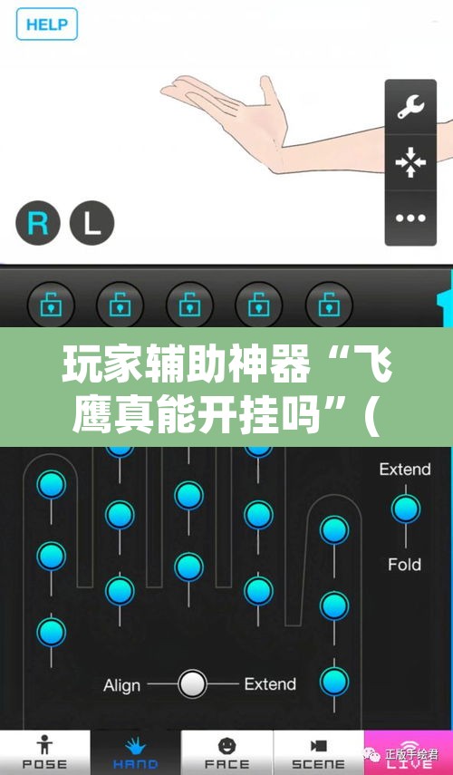 玩家辅助神器“飞鹰真能开挂吗”(透视挂)辅助透视教程