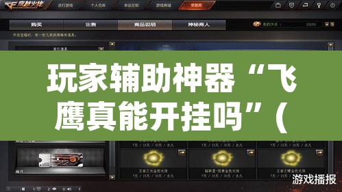 玩家辅助神器“飞鹰真能开挂吗	”(透视挂)辅助透视教程