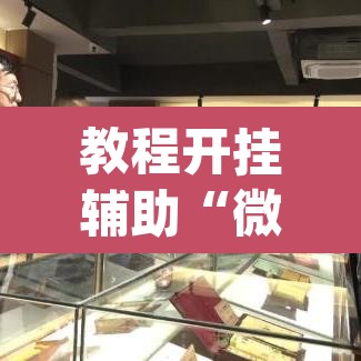 教程开挂辅助“微乐广西麻将万能开挂器通用版”(透视挂)辅助透视教程