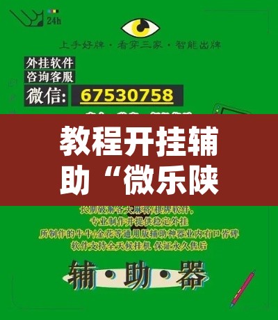 教程开挂辅助“微乐陕西挖坑开挂教程”(透视挂)辅助透视教程