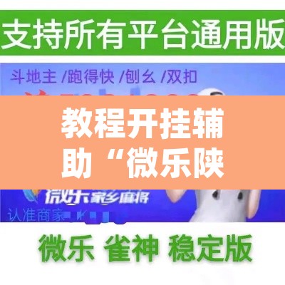 教程开挂辅助“微乐陕西挖坑开挂教程	”(透视挂)辅助透视教程