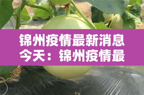 锦州疫情最新消息今天:锦州疫情最新通告 锦州疫情最新消息今天:锦州疫情最新通告