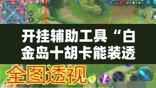 开挂辅助工具“白金岛十胡卡能装透视挂吗”其实确实有挂