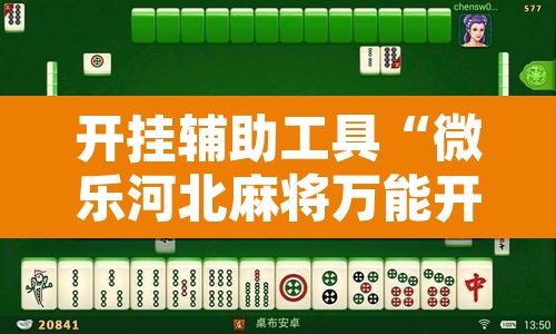开挂辅助工具“微乐河北麻将万能开挂器免费通用版”开挂辅助脚本+详细开挂安装教程