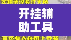 开挂辅助工具“陕麻圈究竟可以开挂吗”其实确实有挂