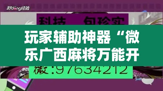 玩家辅助神器“微乐广西麻将万能开挂器”(透视)其实确实有挂
