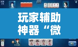 玩家辅助神器“微乐三丁拐麻将赢了抓鸡怎么算的”其实确实有挂