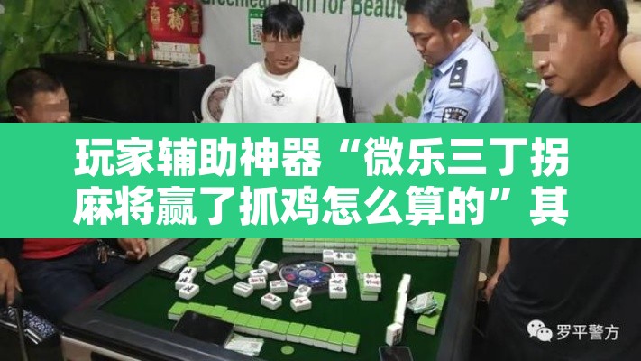 玩家辅助神器“微乐三丁拐麻将赢了抓鸡怎么算的	”其实确实有挂