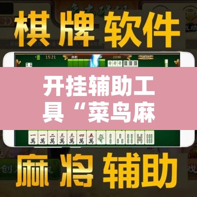 开挂辅助工具“菜鸟麻将开挂神器”附辅助神器开挂脚本详细步骤