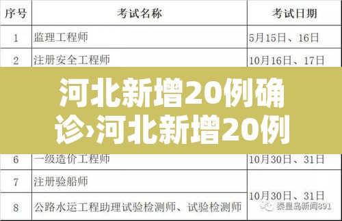 河北新增20例确诊›河北新增20例本土确诊一
