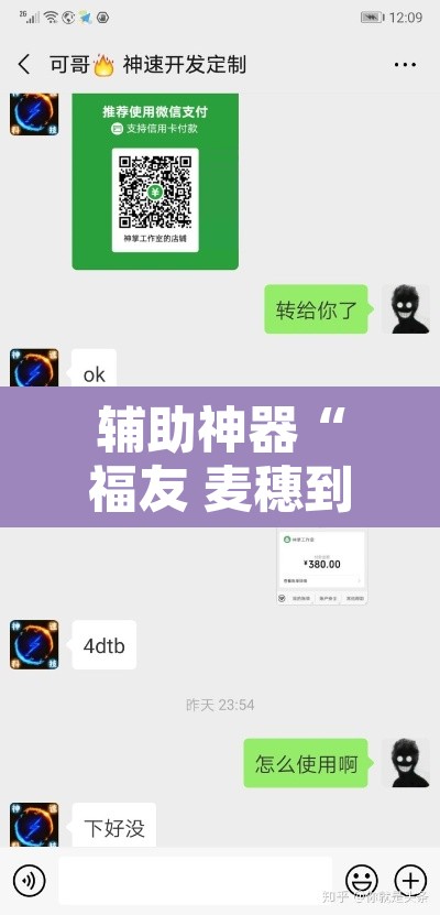 辅助神器“福友 麦穗到底有挂吗”开挂辅助脚本+详细开挂安装教程