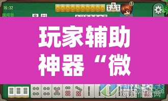 玩家辅助神器“微乐内蒙麻将开挂神器	”(透视挂)辅助透视教程