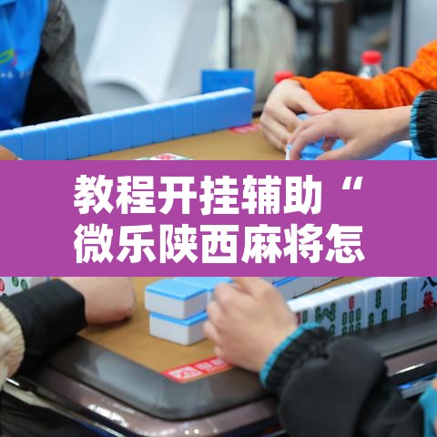教程开挂辅助“微乐陕西麻将怎么提高胜率”其实确实有挂