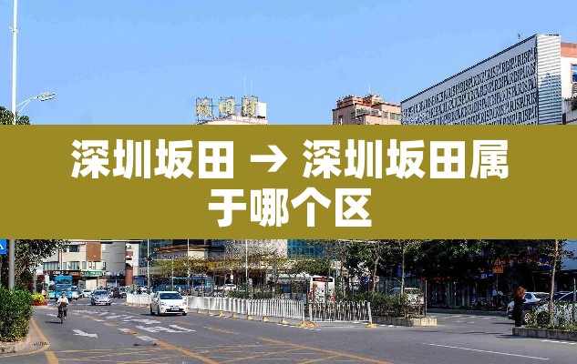 深圳坂田 → 深圳坂田属于哪个区 深圳坂田 → 深圳坂田属于哪个区