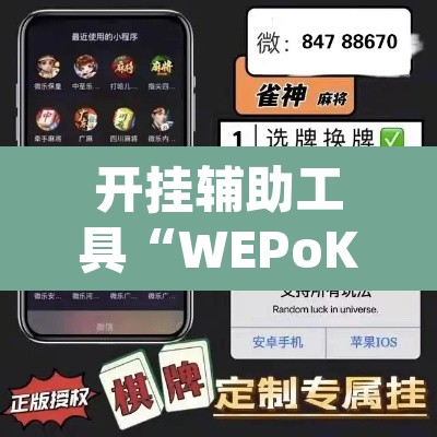 开挂辅助工具“WEPoKeR透视辅助器”(透视挂)辅助透视教程