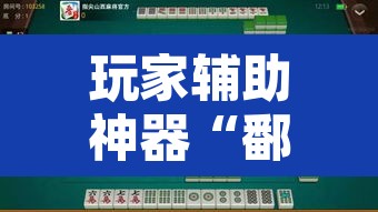 玩家辅助神器“鄱阳翻精麻将有挂吗”其实确实有挂