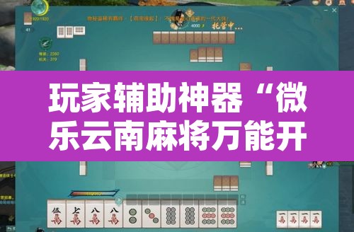 玩家辅助神器“微乐云南麻将万能开挂器”其实确实有挂