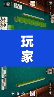玩家辅助神器“中至二人麻将确实真的有挂”其实确实有挂