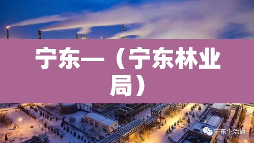 宁东—（宁东林业局）