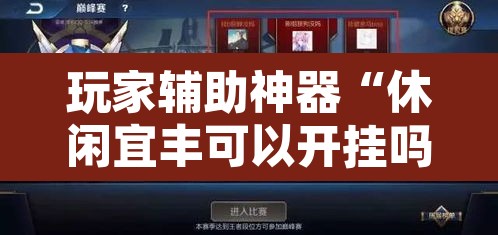 玩家辅助神器“休闲宜丰可以开挂吗	”其实确实有挂