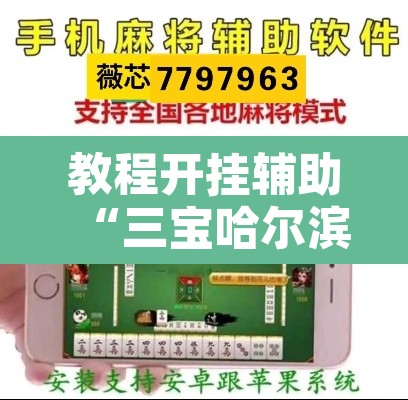 教程开挂辅助“三宝哈尔滨麻将辅助器工具”附辅助神器开挂脚本详细步骤