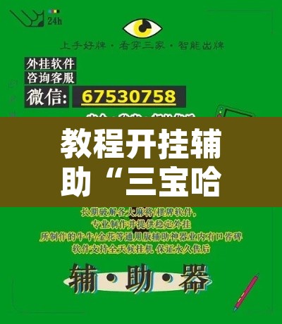 教程开挂辅助“三宝哈尔滨麻将辅助器工具	”附辅助神器开挂脚本详细步骤