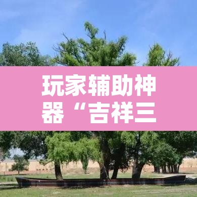 玩家辅助神器“吉祥三公透视是真的吗”开挂辅助脚本+详细开挂安装教程