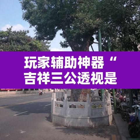玩家辅助神器“吉祥三公透视是真的吗”开挂辅助脚本+详细开挂安装教程