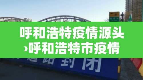 呼和浩特疫情源头›呼和浩特市疫情源头 呼和浩特疫情源头›呼和浩特市疫情源头