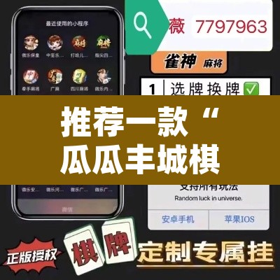 推荐一款“瓜瓜丰城棋牌挂怎么安装	”开挂辅助脚本+详细开挂安装教程